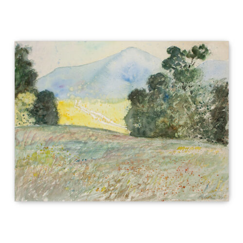 Aquarell "Wiesen"
