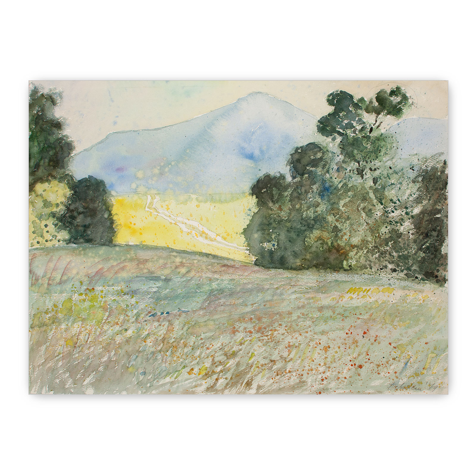 Aquarell "Wiesen"